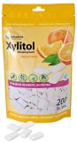 Xylitol Chewing Gum Refill Fresh Fruit (Hager&Werken)