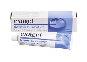 Exagel activatorpasta  (DETAX)